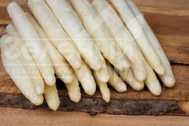 Насіння спаржі Сігнус F1 / Cygnus F1 купити оптом і в роздріб в Україні за вигідною ціною