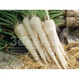 Семена петрушки Оломунская / Olomouncka купить оптом и в розницу в Украине по выгодной цене