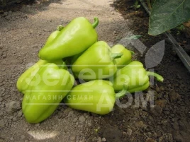 Семена сладкого перца Амаретта F1 / Amaretta F1 купить оптом и в розницу в Украине по выгодной цене