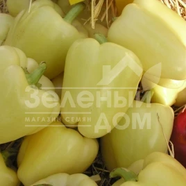 Семена сладкого перца Квадри F1 / Kvadry F1,60-70 дней купить оптом и в розницу в Украине по выгодной цене