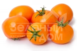 Семена томатов Оранж / Orange,100-110 дней купить оптом и в розницу в Украине по выгодной цене