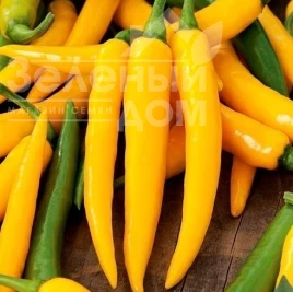 Семена горького перца Харвей / Harvey  купить оптом и в розницу в Украине по выгодной цене