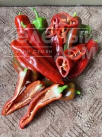 Семена горького перца Коник F1 / Konik F1, 60 дней купить оптом и в розницу в Украине по выгодной цене