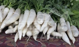 Семена редиса Светлячок / Svetlyachok,35-38 дней купить оптом и в розницу в Украине по выгодной цене