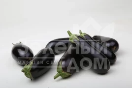 Семена баклажана Антрацит F1 / Antratsyt F1,85-95 дней купить оптом и в розницу в Украине по выгодной цене