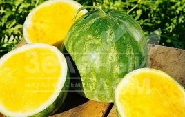 Семена арбуза Примаголд F1 / Primagold F1 купить оптом и в розницу в Украине по выгодной цене