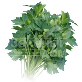 Семена петрушки Итальянский гигант / Italian gigant,65-70 дней купить оптом и в розницу в Украине по выгодной цене