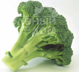 Насіння капусти броколі Монако F1 / Monaco F1,75-80 днів купити оптом і в роздріб в Україні за вигідною ціною