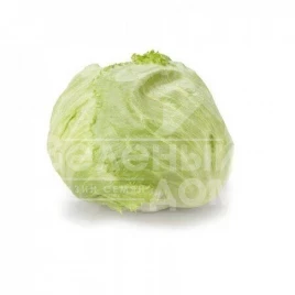 Семена салата Силвинас / Silvinas купить оптом и в розницу в Украине по выгодной цене