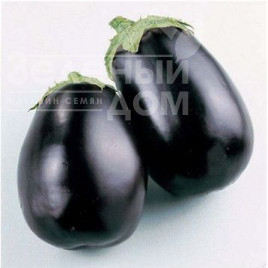 Насіння баклажанів Беллеса Нера / Bellesa Nera купити оптом і в роздріб в Україні за вигідною ціною