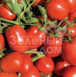 Семена томатов Дельфо F1 / Delfo F1.95-100 дней купить оптом и в розницу в Украине по выгодной цене