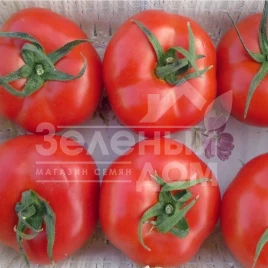 Семена томатов БТ 2274 / BT 2274,80 дней купить оптом и в розницу в Украине по выгодной цене