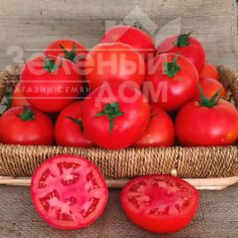 Насіння томатів Оскар F1 / Oskar F1 купити оптом і в роздріб в Україні за вигідною ціною