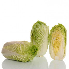 Насіння капусти пекінської Кісекі F1 / Kiseki F1, 65-75 днів купити оптом і в роздріб в Україні за вигідною ціною