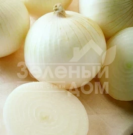Лук репчатый Сьерра Бланка F1 / Sierra Blanca F1,90-95 дней купить оптом и в розницу в Украине по выгодной цене