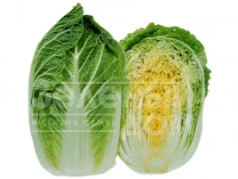 Семена капусты пекинской Гилтон / Gilton,58-65 дней купить оптом и в розницу в Украине по выгодной цене