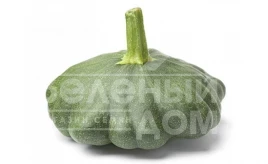 Семена патиссона Гриндиск F1 / Greendisc F1,40-45 дней купить оптом и в розницу в Украине по выгодной цене