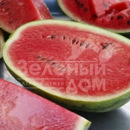 Семена арбуза Призматика F1 / Prizmatika F1,80 дней купить оптом и в розницу в Украине по выгодной цене
