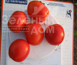 Насіння томатів Реді F1 / Redi F1,70 днів купити оптом і в роздріб в Україні за вигідною ціною