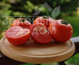 Насіння томатів Таня F1 / Tanya F1,75-80 днів купити оптом і в роздріб в Україні за вигідною ціною