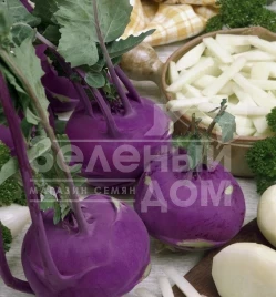 Семена капусты кольраби Азур / Azur,50-60 дней купить оптом и в розницу в Украине по выгодной цене