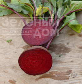 Насіння буряка Гарольд / Garold, 65-70 днів купити оптом і в роздріб в Україні за вигідною ціною