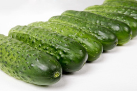 Насіння огірків Платіна F1 / Platina F1,45-48 днів купити оптом і в роздріб в Україні за вигідною ціною