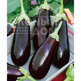 Насіння баклажанів Гобі / Gobi купити оптом і в роздріб в Україні за вигідною ціною