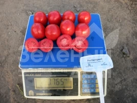 Семена томатов Перфектпил F1 / Perfectpeel F1,60 - 65 дней купить оптом и в розницу в Украине по выгодной цене