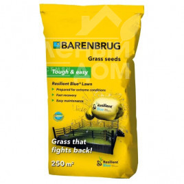 Насіння газонної трави Газонна трава / Resilient Blue Lawn купити оптом і в роздріб в Україні за вигідною ціною