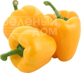 Насіння солодкого перцю Мінерва F1 / Minerva F1,70 днів купити оптом і в роздріб в Україні за вигідною ціною