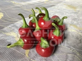 Семена горького перца Глобус F1 / Globus F1,70 дней купить оптом и в розницу в Украине по выгодной цене