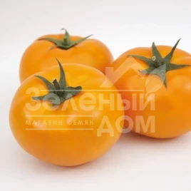 Семена томатов Ямамото F1 (KS 10 F1) / Yamamoto F1 (KS 10 F1),105-115 дней купить оптом и в розницу в Украине по выгодной цене