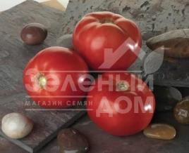 Семена томатов Белла Роса F1 / Bella rosa F1,70-75 дней купить оптом и в розницу в Украине по выгодной цене