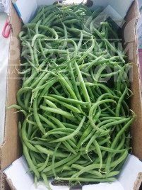 Насіння спаржевої квасолі Бурмен / Burman купити оптом і в роздріб в Україні за вигідною ціною