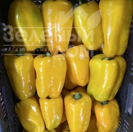 Семена сладкого перца Голден Император F1 / Golden Imperator F1 купить оптом и в розницу в Украине по выгодной цене
