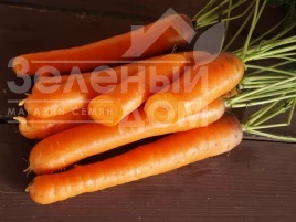 Семена моркови Беркос F1 / Berkos F1,120-125 дней купить оптом и в розницу в Украине по выгодной цене