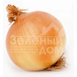 Лук репчатый Глобус / Globus,112-118 дней купить оптом и в розницу в Украине по выгодной цене