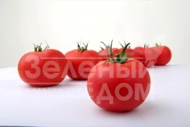 Семена томатов Пинки Фавор F1 / Pinky Favor F1 купить оптом и в розницу в Украине по выгодной цене