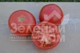 Семена томатов 1810 F1 / 1810 F1,95 дней купить оптом и в розницу в Украине по выгодной цене