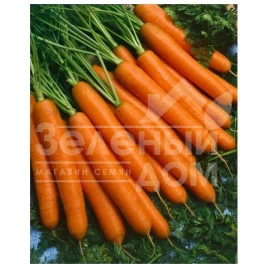 Семена моркови Йолана F1 / Jolana F1,90-100 дней купить оптом и в розницу в Украине по выгодной цене