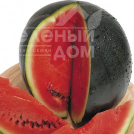 Насіння кавуна Шуга Бейбі F1 / Sugar Baby F1,65-70 днів купити оптом і в роздріб в Україні за вигідною ціною