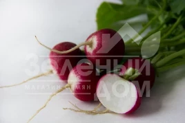 Семена редиса Николь F1 / Nicol F1 (Стандарт +),23-25 дней купить оптом и в розницу в Украине по выгодной цене