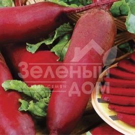 Семена свеклы Цилиндра / Cylinder купить оптом и в розницу в Украине по выгодной цене