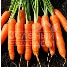 Семена моркови Скарлет F1 / Scarlett F1,70-80 дней купить оптом и в розницу в Украине по выгодной цене
