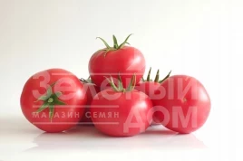 Семена томатов Манистелла F1 (3626) / Manistella F1 (3626) купить оптом и в розницу в Украине по выгодной цене