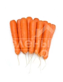 Семена моркови Октаво F1 / Oktavo F1,120-130 дней купить оптом и в розницу в Украине по выгодной цене