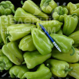 Насіння солодкого перцю Лунгі F1 / Lungy F1,55-65 днів купити оптом і в роздріб в Україні за вигідною ціною