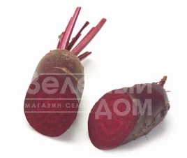 Семена свеклы Ломако / Lomako,70-90 дней купить оптом и в розницу в Украине по выгодной цене