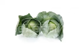 Семена капусты белокочанной Владима F1 / Vladima F1, 130 дней купить оптом и в розницу в Украине по выгодной цене